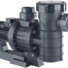 Astral Maxim Three Phase Commercial Swimming Pool Pump 2 Astral Maxim Three Phase Commercial Swimming Pool Pump -Outdoor Gear Store astralmaximpump 58570.1578913940