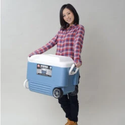 Igloo MaxCold 60 Roller Cool Box Wheeled Ice Chest 15 Igloo MaxCold 60 Roller Cool Box Wheeled Ice Chest -Outdoor Gear Store maxcold 40 quart carry 90887.1425296435