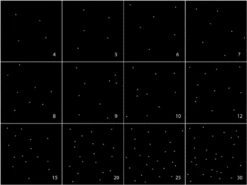 Small Fibre Optic LED Light Star Effect Ceiling Kit -Outdoor Gear Store star effect density 98013.1413970564